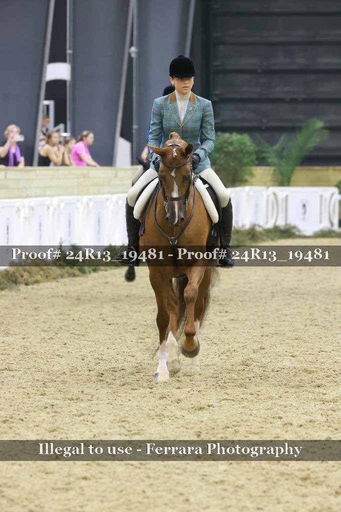 Proof 24R13_19481