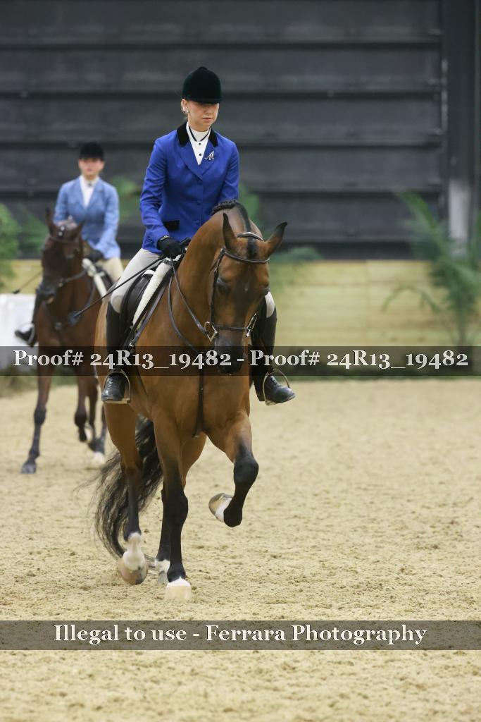 Proof 24R13_19482
