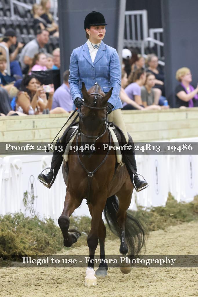 Proof 24R13_19486