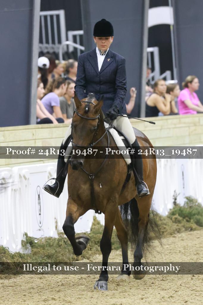 Proof 24R13_19487