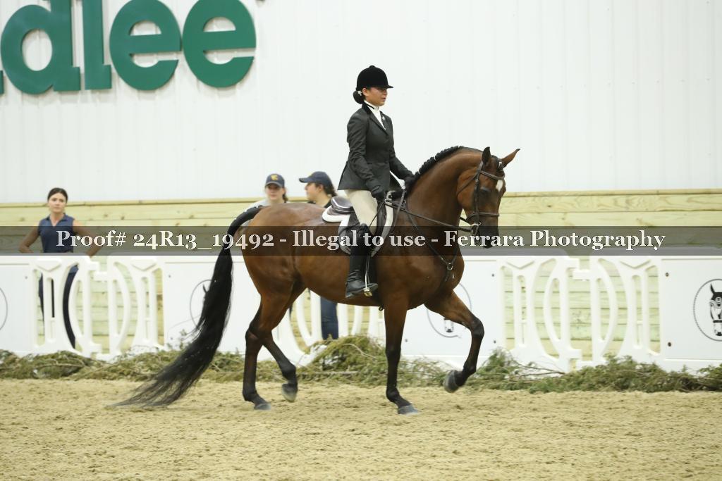 Proof 24R13_19492
