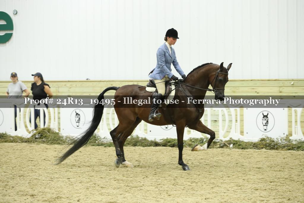 Proof 24R13_19495