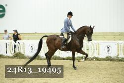24R13_19495 proof