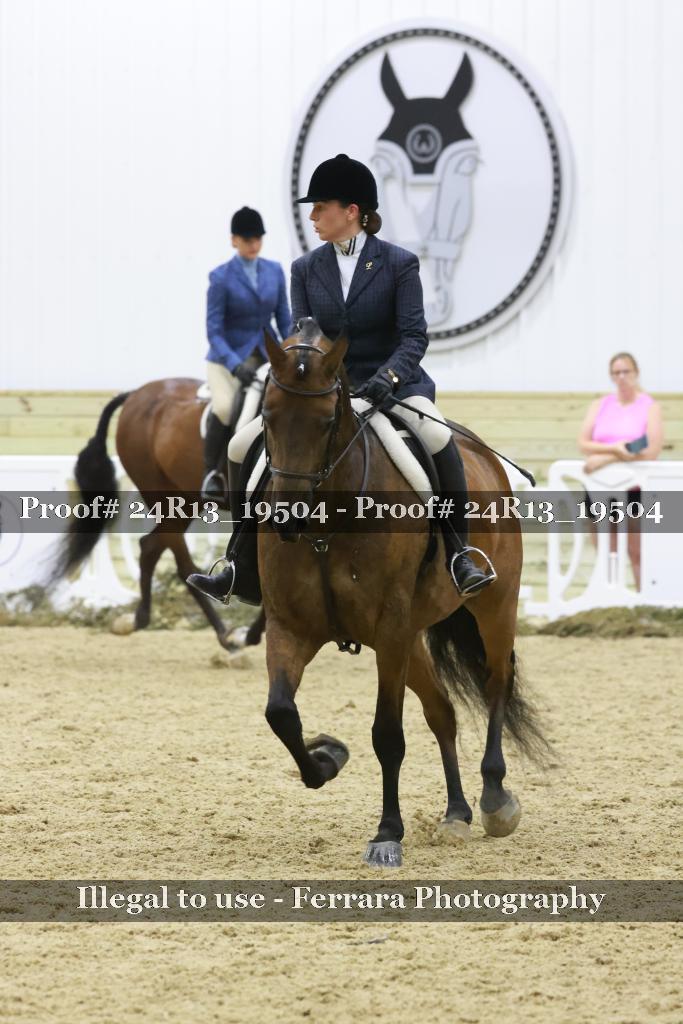 Proof 24R13_19504