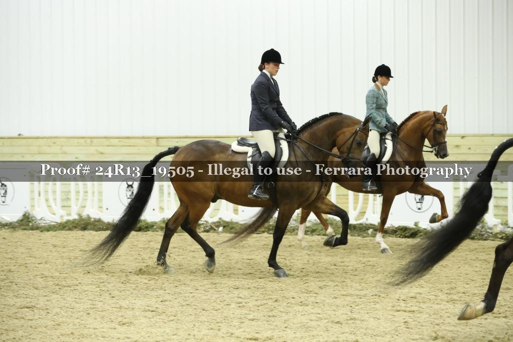 Proof 24R13_19505