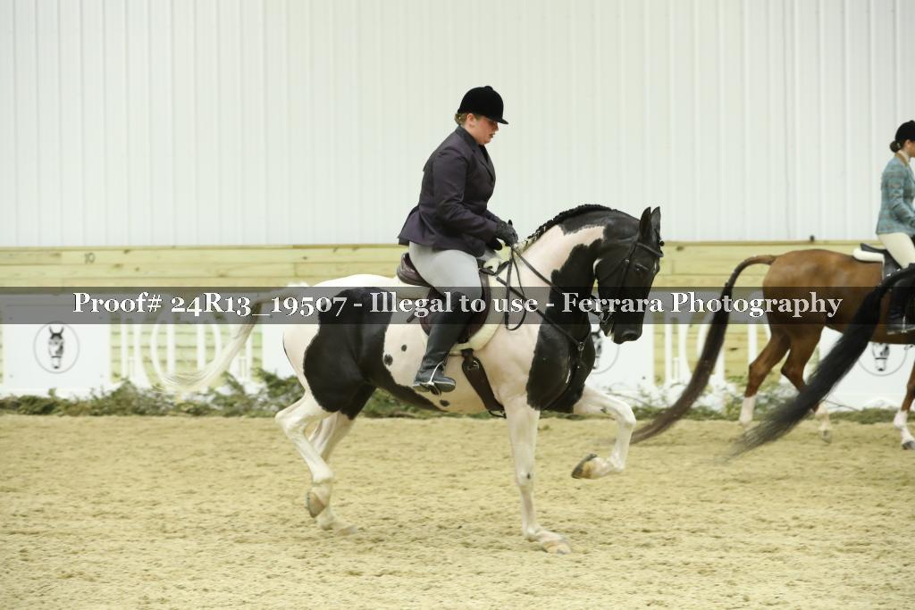 Proof 24R13_19507
