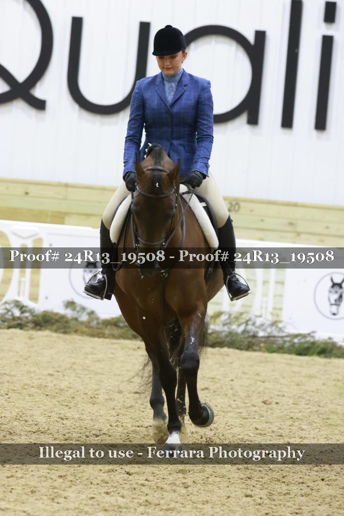 Proof 24R13_19508