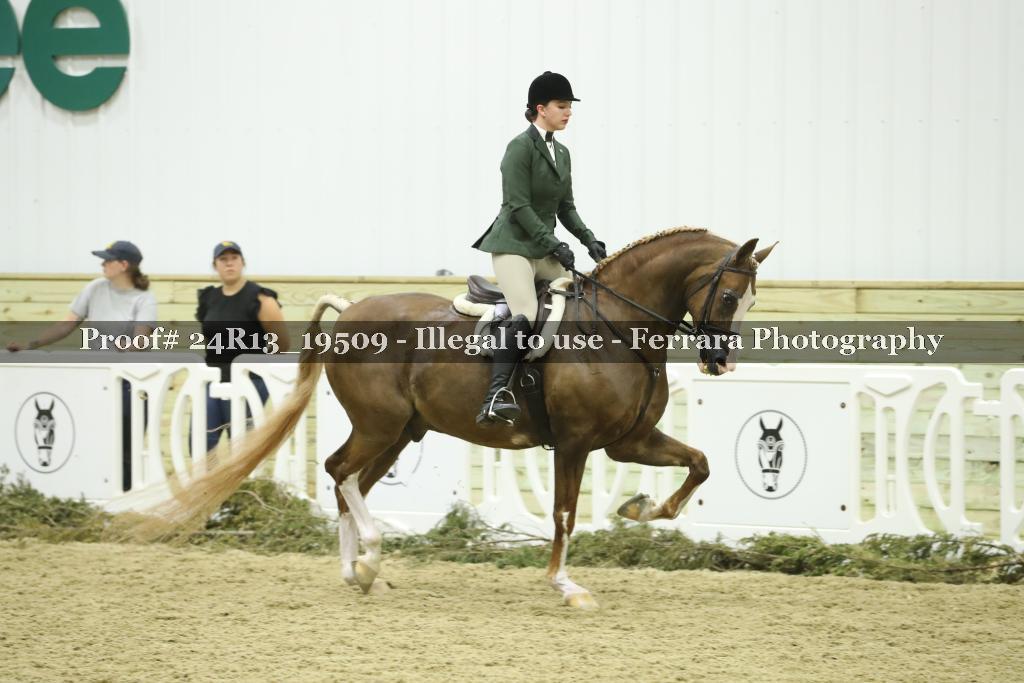 Proof 24R13_19509