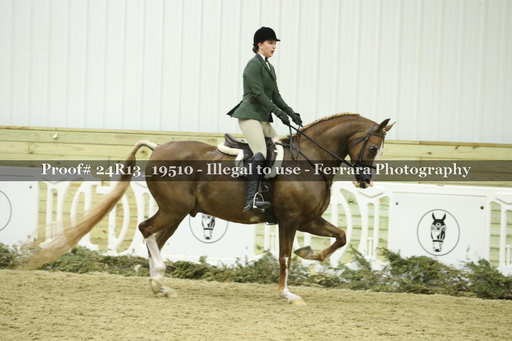 Proof 24R13_19510