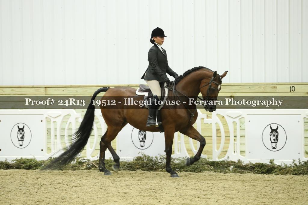 Proof 24R13_19512