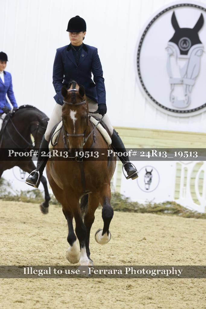 Proof 24R13_19513