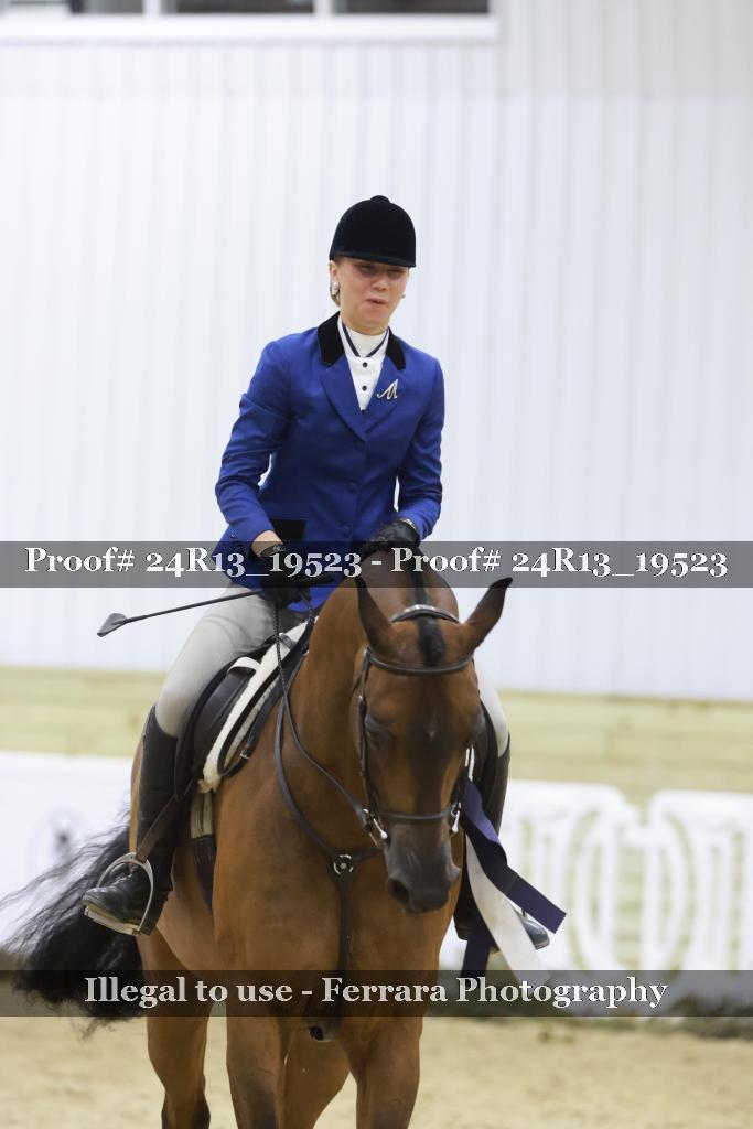 Proof 24R13_19523