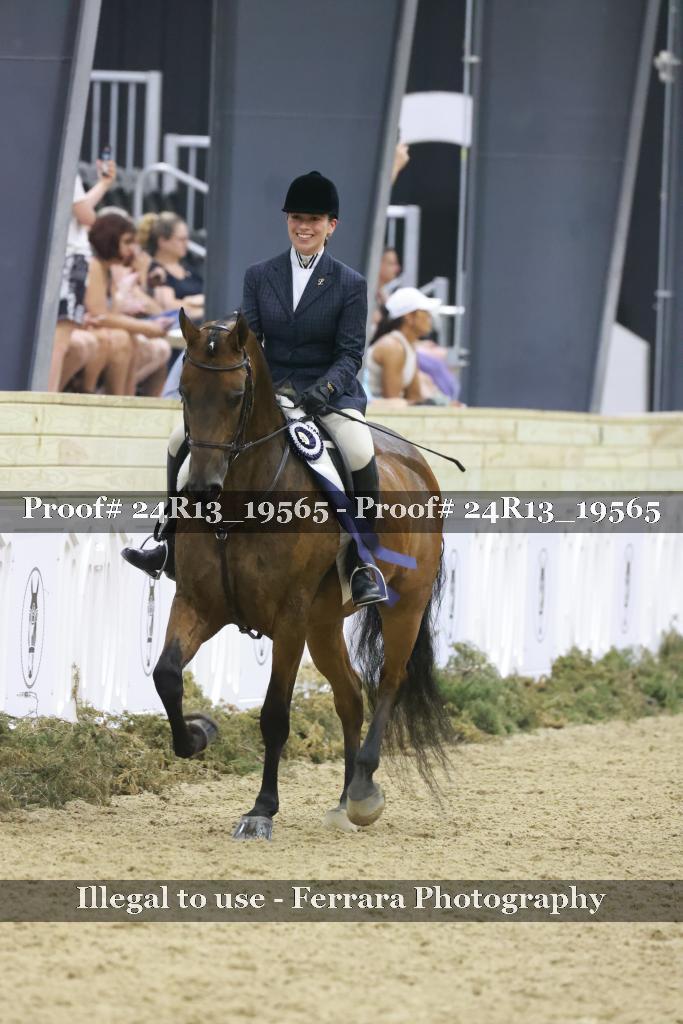 Proof 24R13_19565