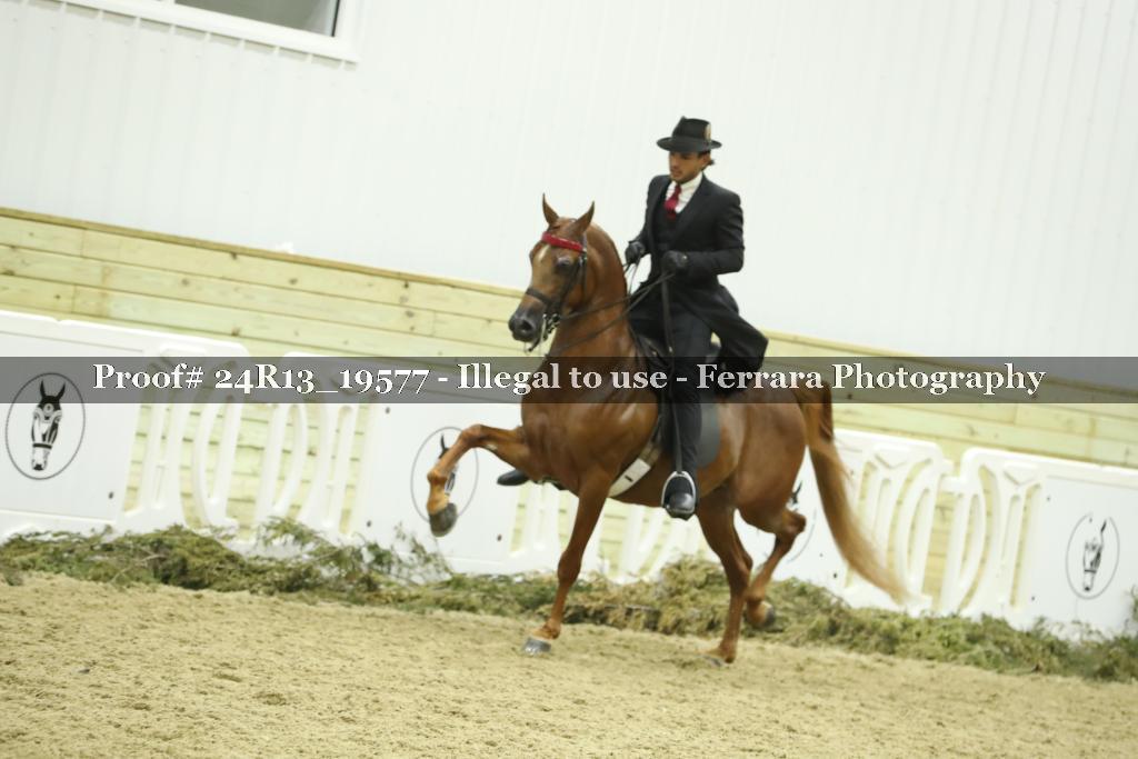 Proof 24R13_19577