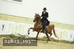 24R13_19577 proof