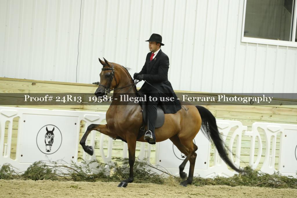 Proof 24R13_19581
