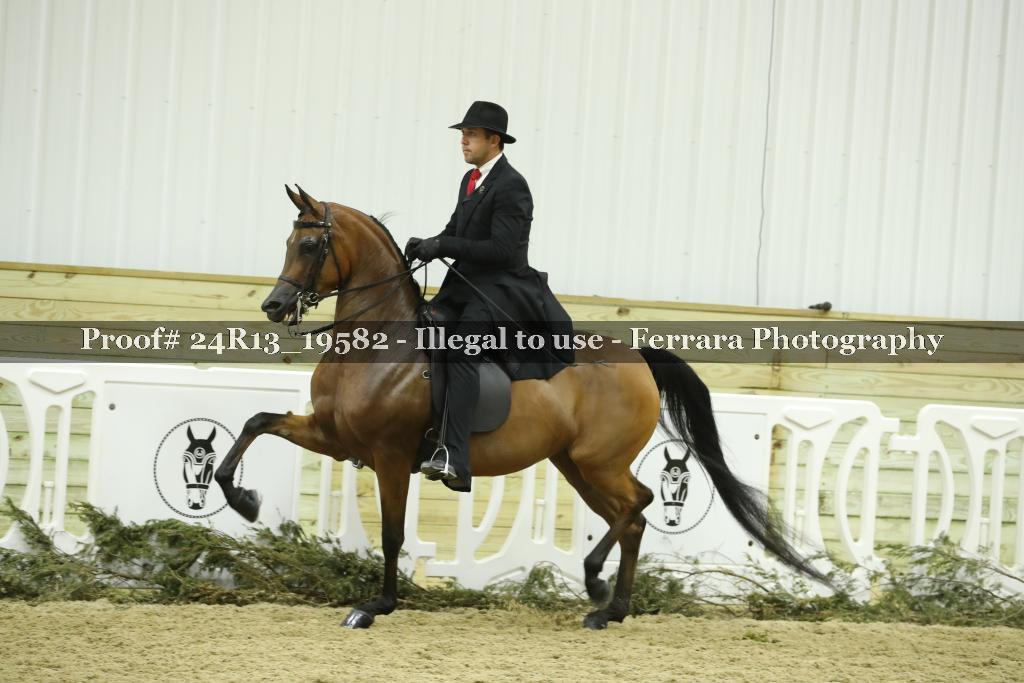 Proof 24R13_19582