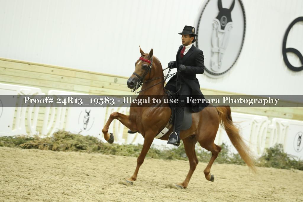 Proof 24R13_19583