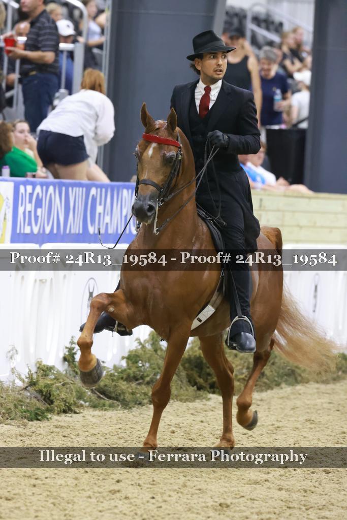 Proof 24R13_19584