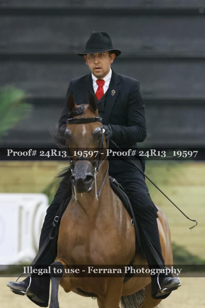 Proof 24R13_19597