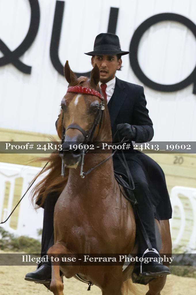 Proof 24R13_19602
