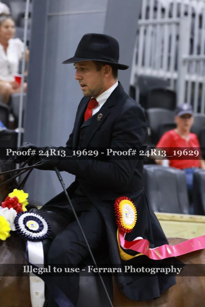 Proof 24R13_19629