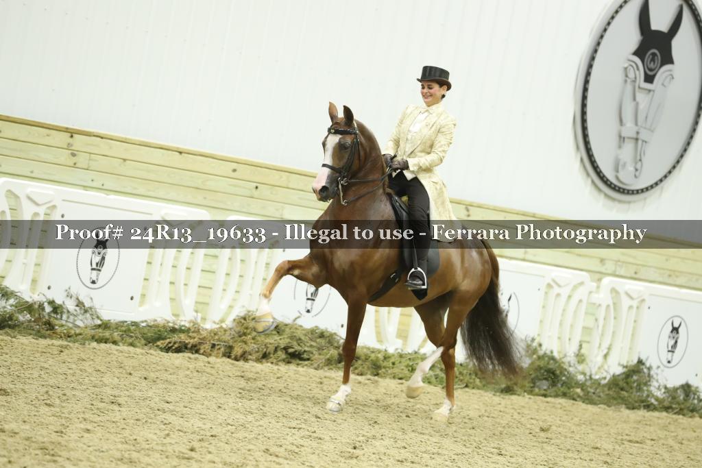 Proof 24R13_19633
