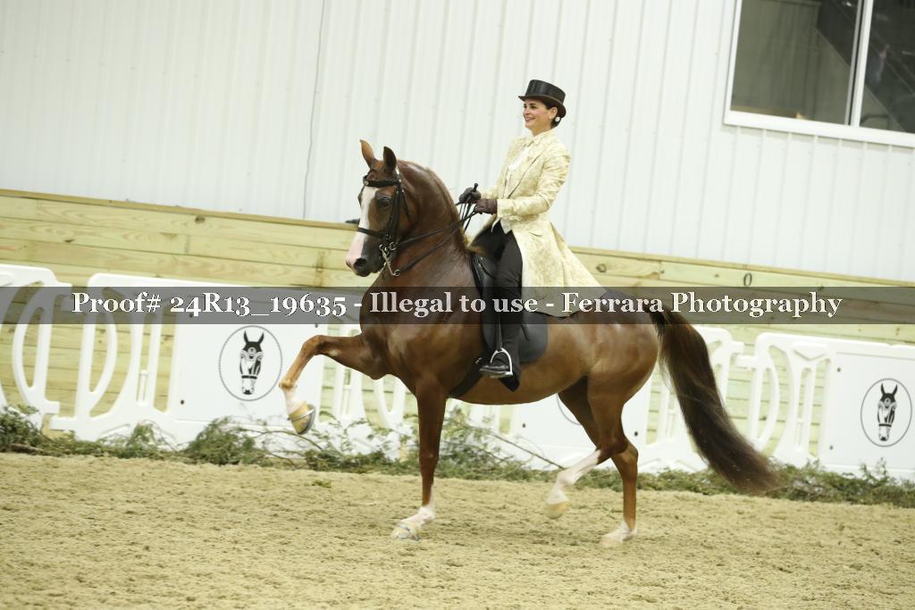 Proof 24R13_19635