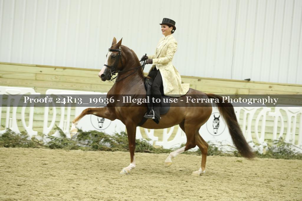 Proof 24R13_19636