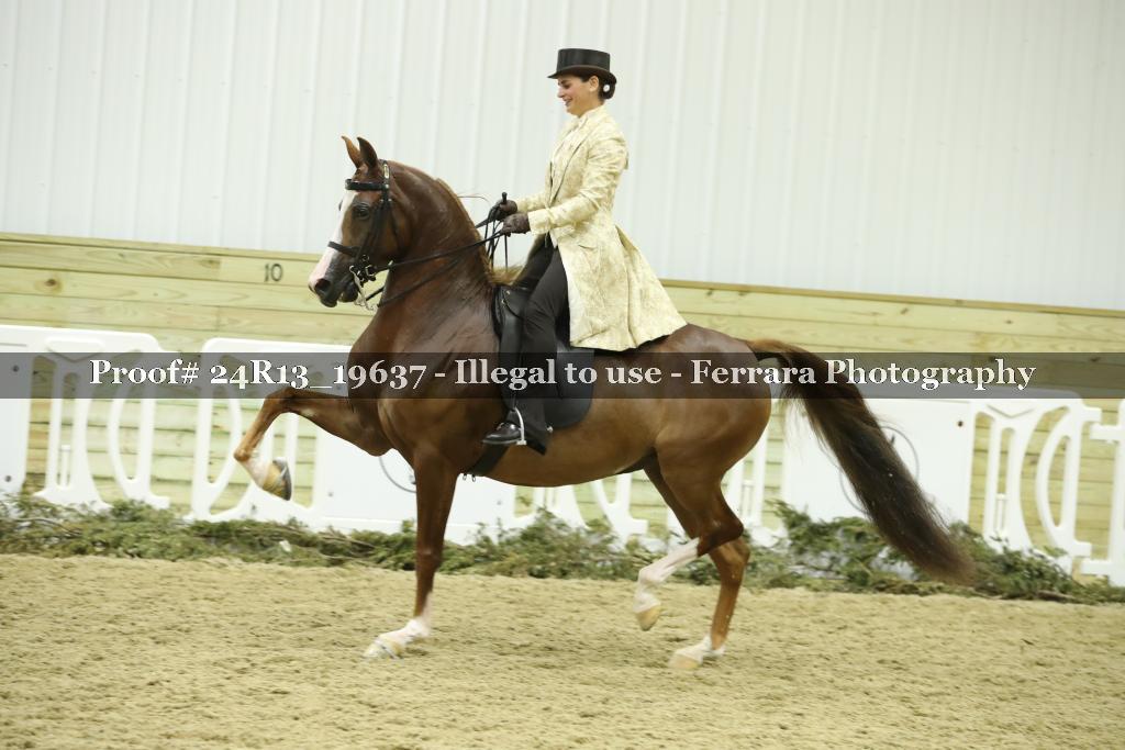 Proof 24R13_19637