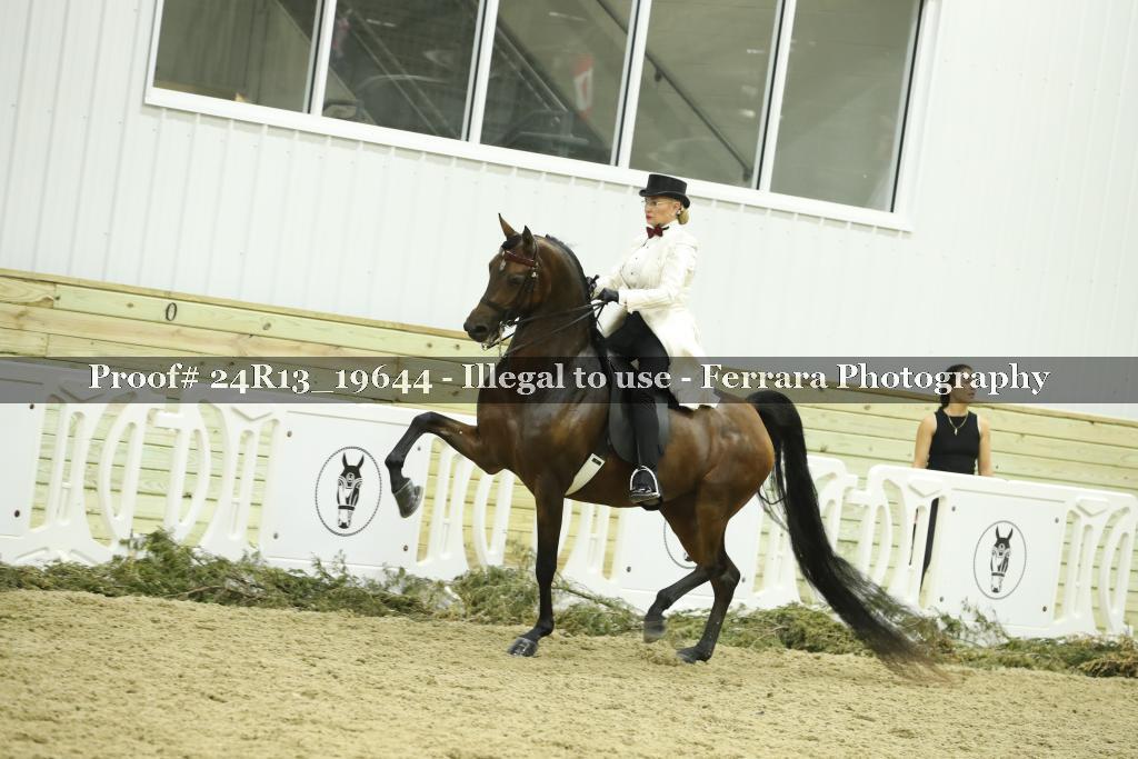 Proof 24R13_19644
