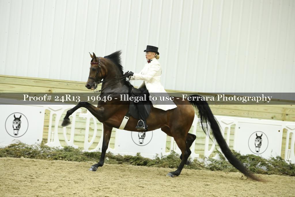 Proof 24R13_19646