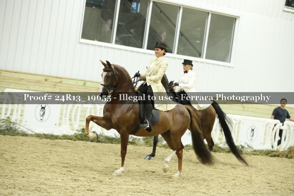 Proof 24R13_19655