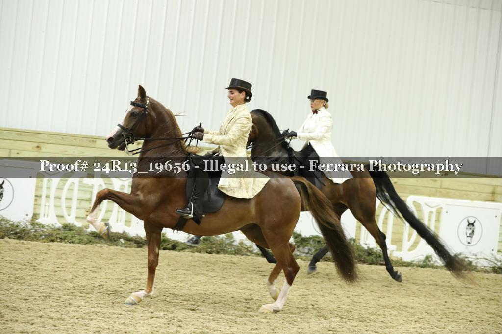 Proof 24R13_19656