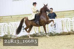 24R13_19685 proof