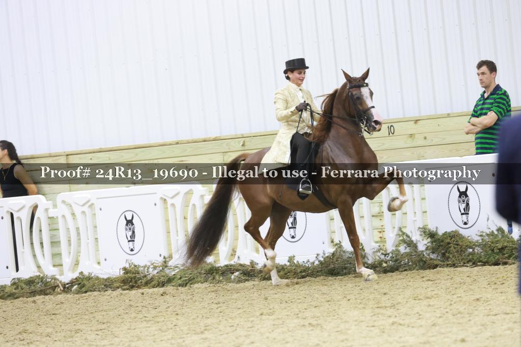Proof 24R13_19690