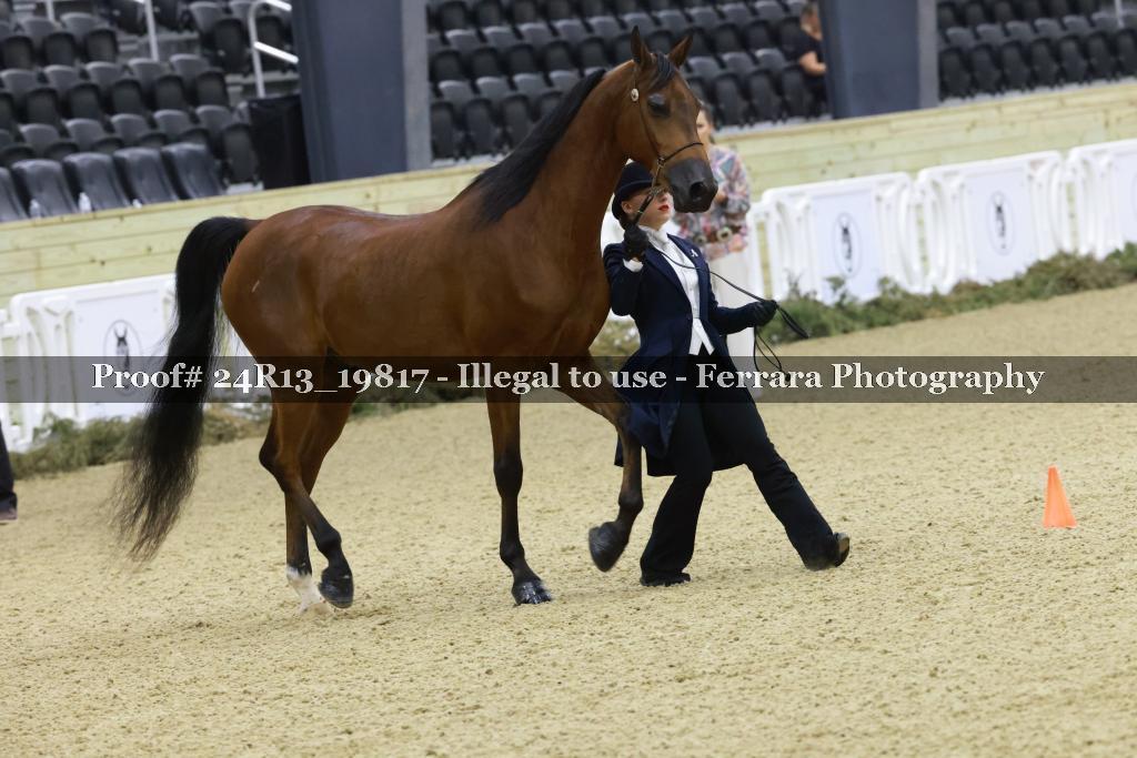 Proof 24R13_19817