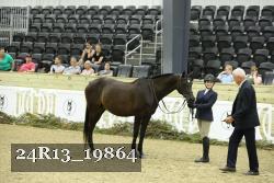 24R13_19864 proof