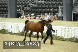24R13_19883 proof