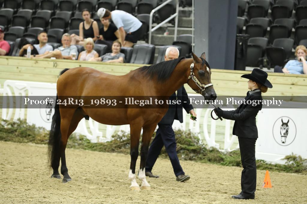 Proof 24R13_19893