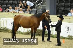 24R13_19894 proof