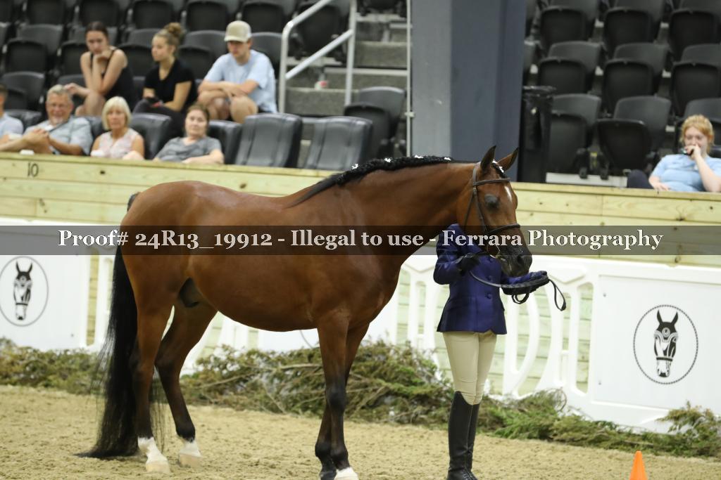 Proof 24R13_19912