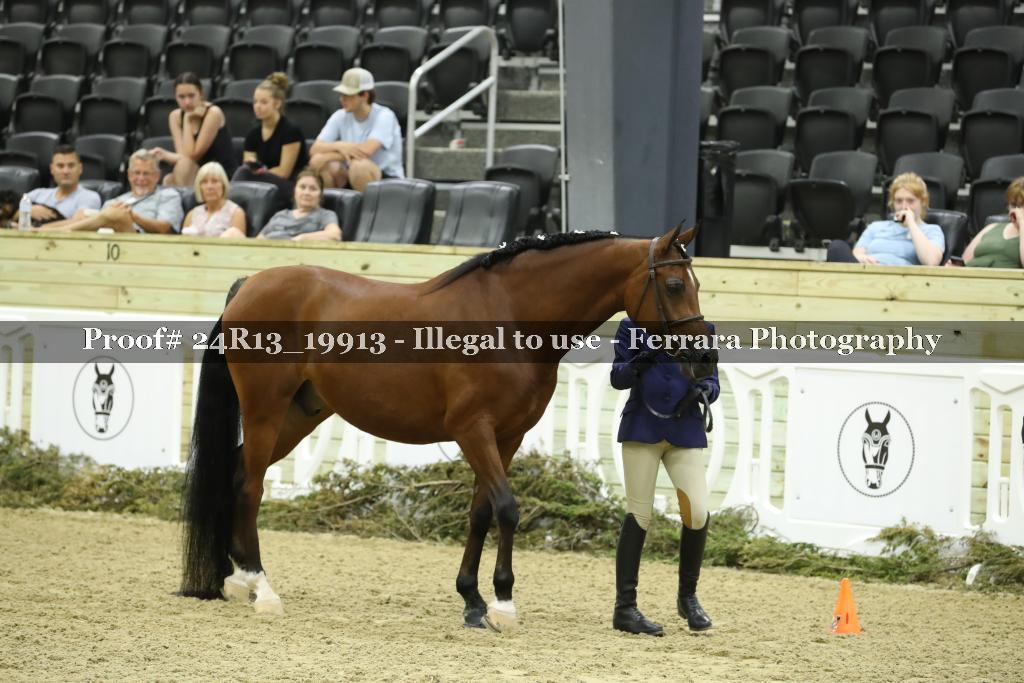 Proof 24R13_19913