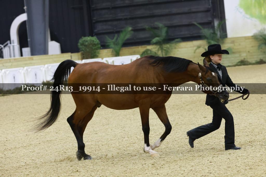 Proof 24R13_19914