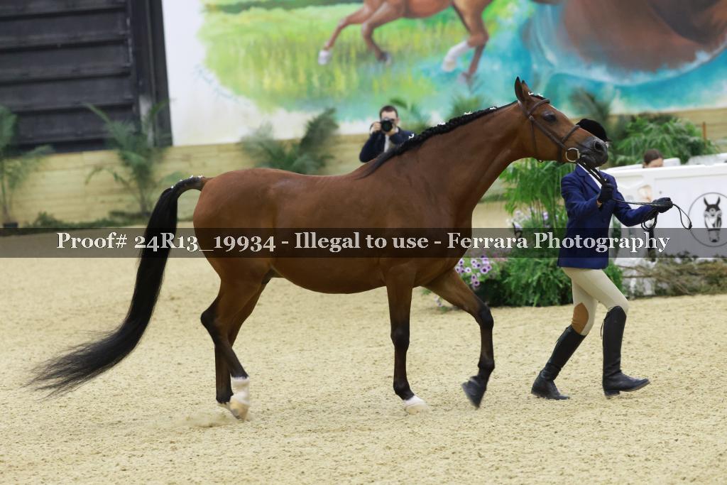 Proof 24R13_19934