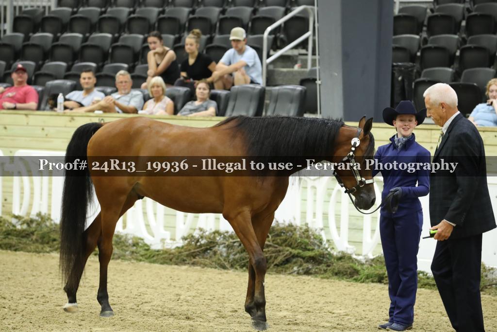 Proof 24R13_19936