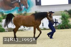24R13_19958 proof