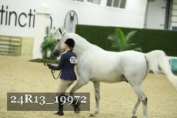 24R13_19972 proof