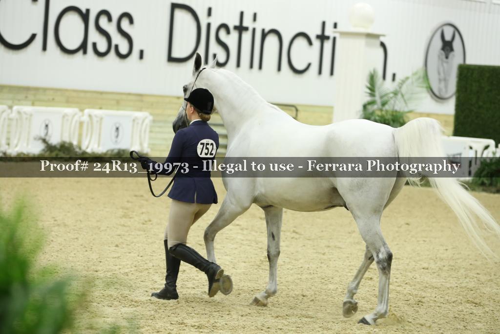 Proof 24R13_19973