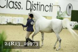 24R13_19973 proof